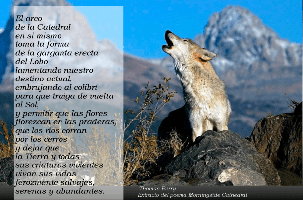 13.03.2017 Tremonhue