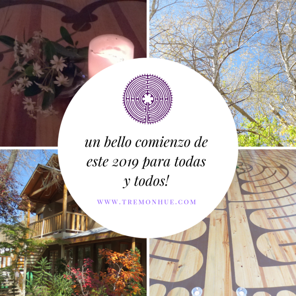 un bello comienzo de este 2019 para todas y todos!