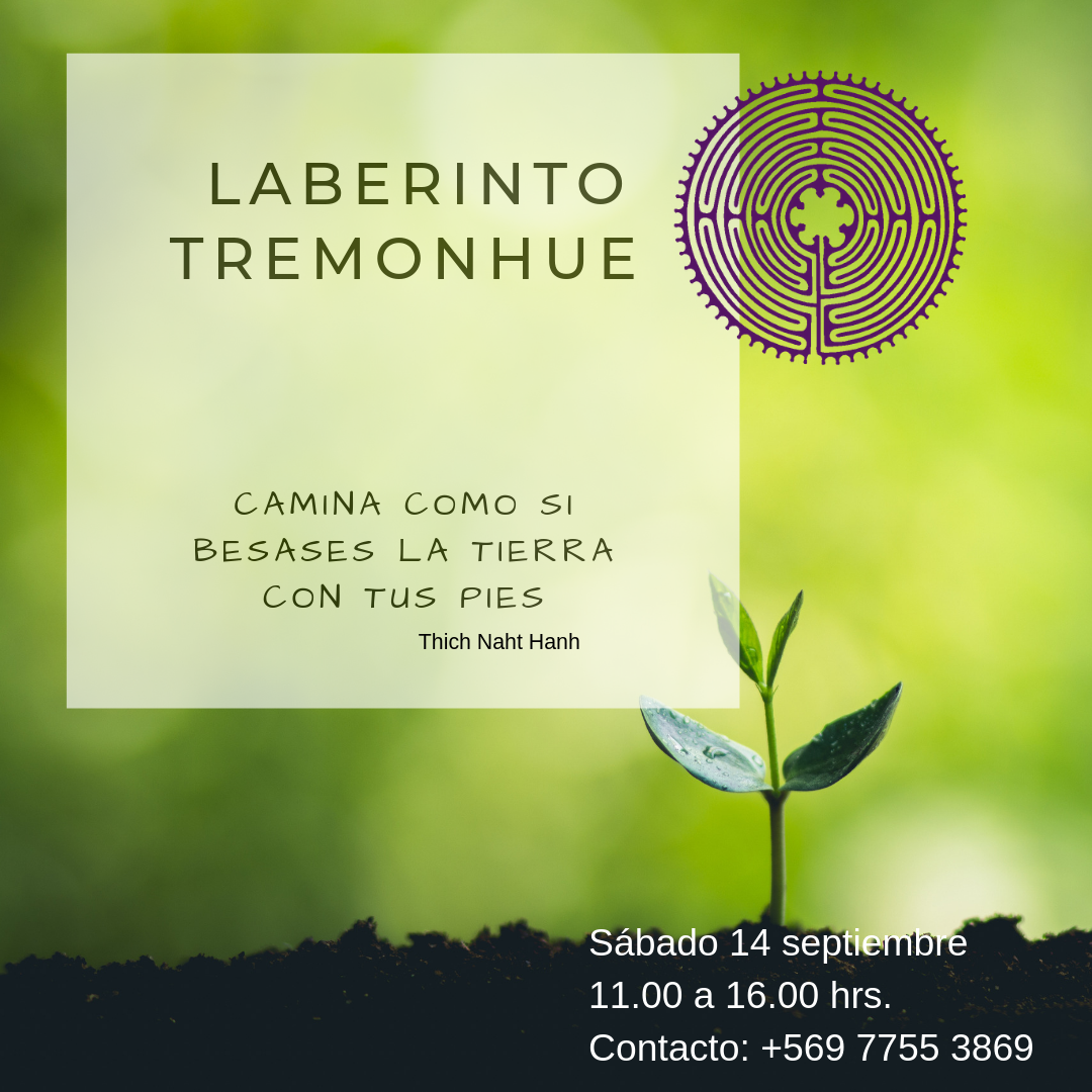 Caminamos el laberinto