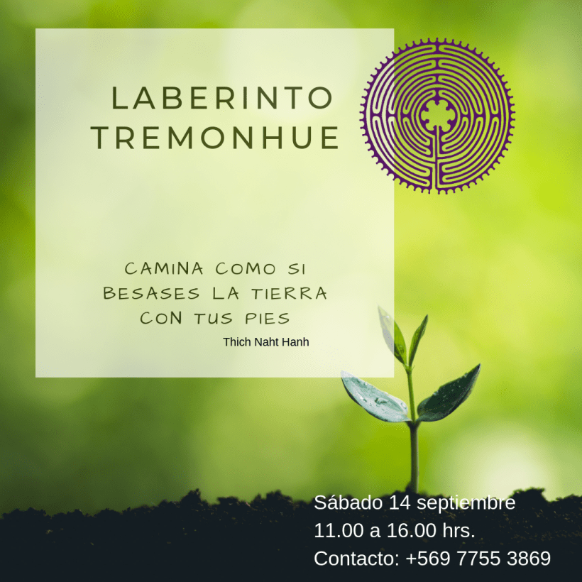 Caminamos el laberinto